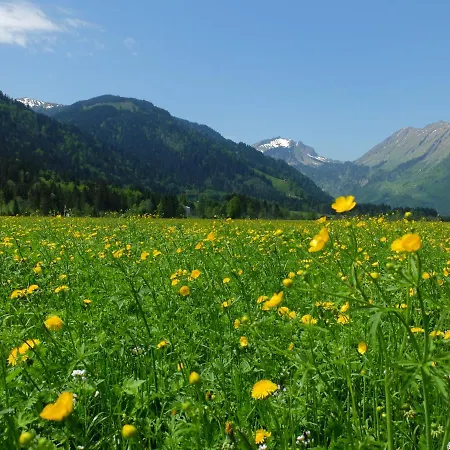 Habitación en casa particular Oberhauser *