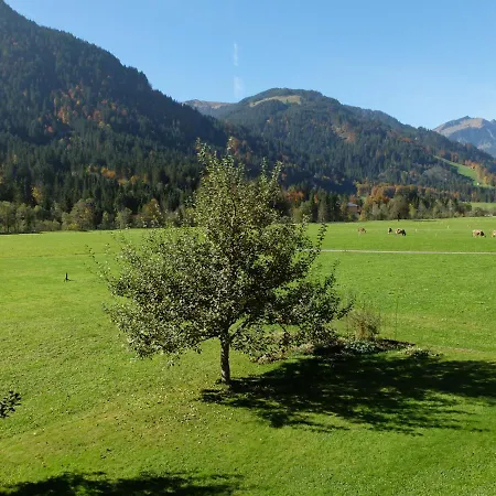 Oberhauser *