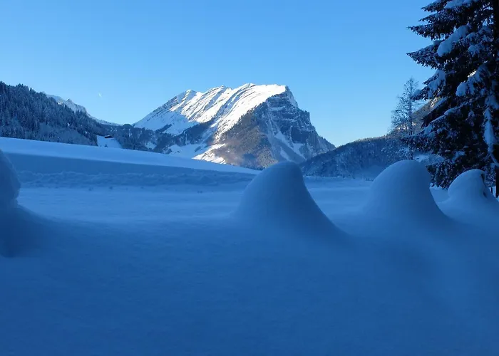 Habitación en casa particular Oberhauser *
